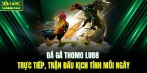 đá gà Thomo LU88